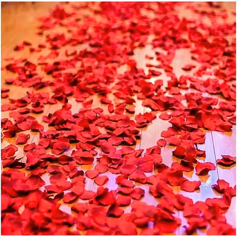 Umelé červené ružové okvetné lístky ideálne na romantickú dekoráciu na Valentína