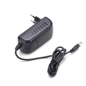 Încărcător LiFePO4 12V 2A, design compact și ușor de utilizat pentru baterii litiu-fier-fosfat