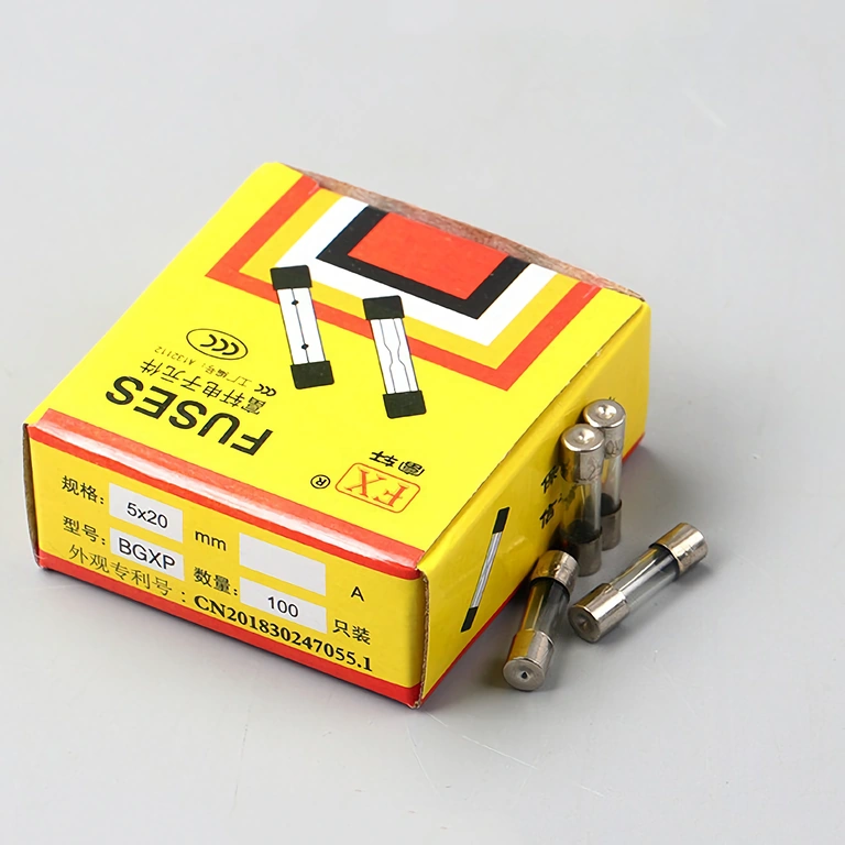 Set completo de 100 fusibles de vidrio 10A 5x20 mm